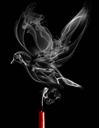 songthem_lannua