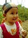 hoamixanh82