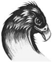 littleeagle