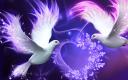 Love_forever